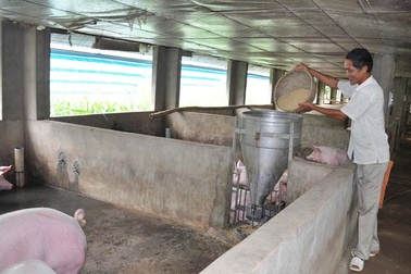 Bí quyết làm giàu của tỷ phú trang trại đa canh