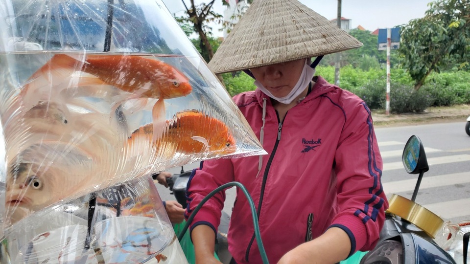 Lao động ngoại tỉnh: Những lát cắt không thể thiếu nơi phố thị - 2 Lao động ngoại tỉnh: Những lát cắt không thể thiếu nơi phố thị - 2