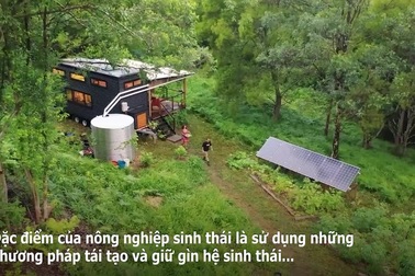 Cuộc sống trong nhà di động giữa rừng thực vật của cặp đôi ở Úc