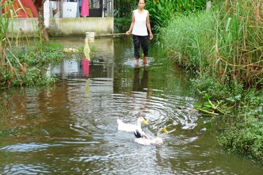 Hàng chục hộ dân sống giữa thành phố… bì bõm lội nước 4 năm qua
