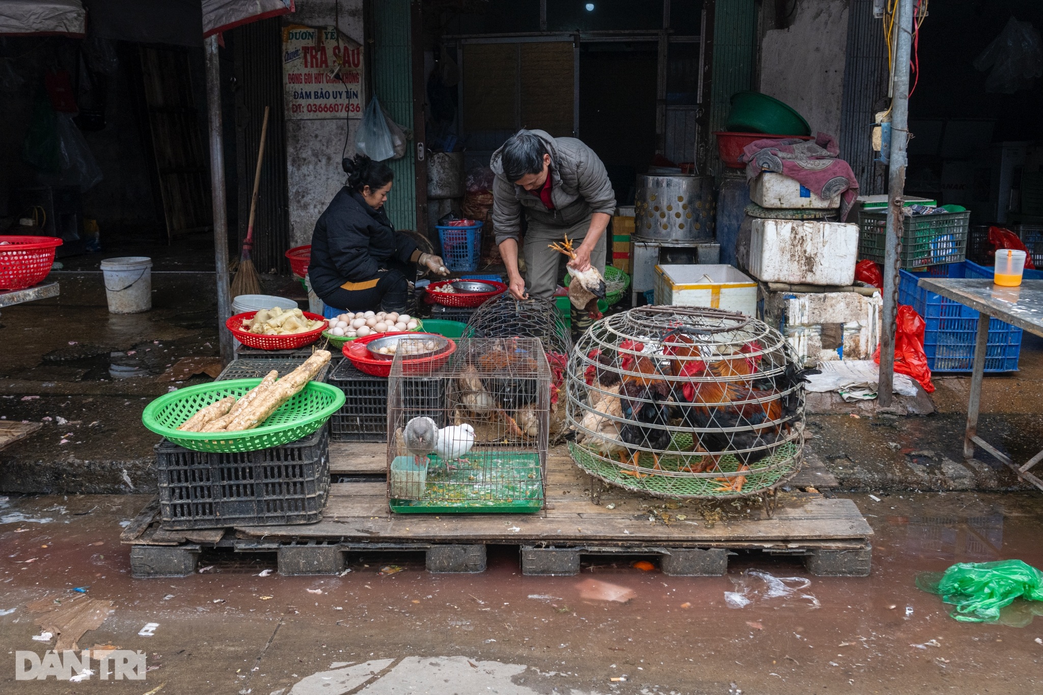 View - Hiện trạng chợ Long Biên xuống cấp, chờ ngày TP Hà Nội cải tạo | Báo Dân trí