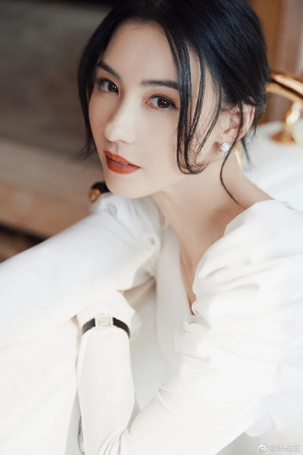 Trương Bá Chi bị kiện 1,9 triệu USD - 1