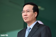 Bộ Chính trị, Ban Bí thư xem xét, thi hành kỷ luật tổ chức đảng, đảng viên