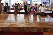 Cặp phản gỗ "hoàng gia" lớn nhất Việt Nam giá 5,5 tỷ đồng