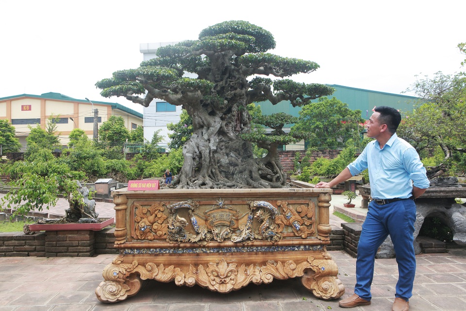 “Chấn động” tác phẩm 28 tỷ đồng được “biến hóa” từ ngọn cây tưởng bỏ đi - 3 “Chấn động” tác phẩm 28 tỷ đồng được “biến hóa” từ ngọn cây tưởng bỏ đi - 3