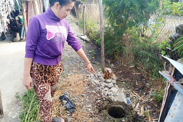 Bi hài vụ chặt cây trên đất đã mua nguy cơ ngồi tù: Tiếp tục hoãn phiên tòa!