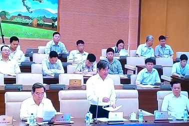 “Trận thua” của dưa hấu - năng lực bộ máy có vấn đề (!?)