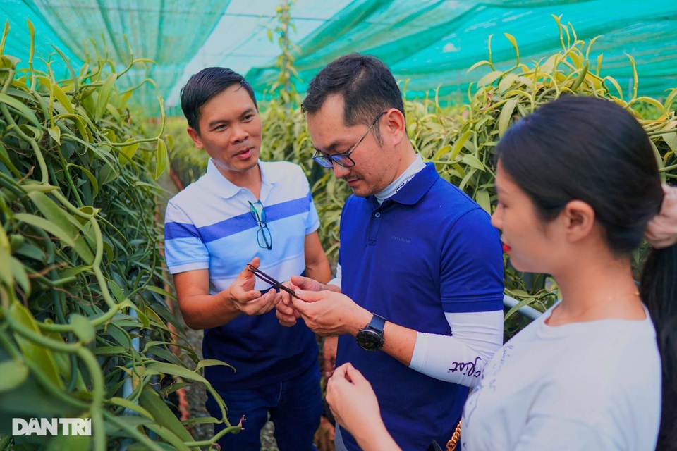 Người nông dân Bình Dương thuần hóa cây lạ cho loại quả 20 triệu đồng/kg - 10 Người nông dân Bình Dương thuần hóa cây lạ cho loại quả 20 triệu đồng/kg - 10