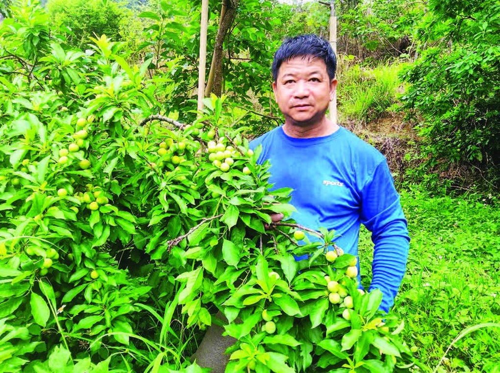 Cao Lộc (Lạng Sơn): Hỗ trợ người dân phát triển sinh kế vươn lên thoát nghèo - 1 Cao Lộc (Lạng Sơn): Hỗ trợ người dân phát triển sinh kế vươn lên thoát nghèo - 1