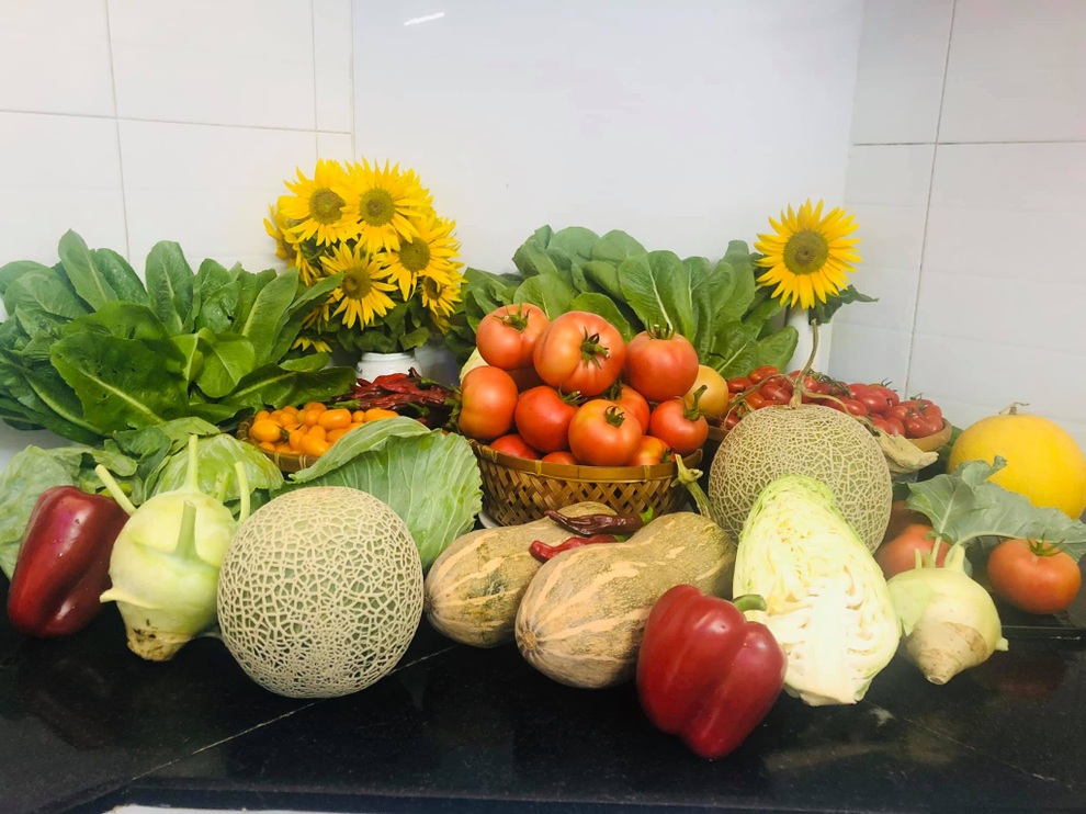 Học cách làm phân cá giàu đạm giúp cây phát triển xanh tốt - 2 Học cách làm phân cá giàu đạm giúp cây phát triển xanh tốt - 2