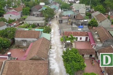 Bột vôi diệt khuẩn phủ trắng vùng ngập Hà Nội