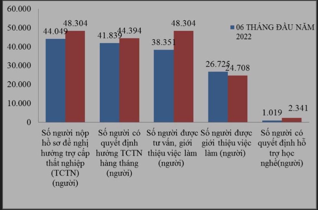 140 doanh nghiệp giải thể, 40.000 lao động trông vào trợ cấp thất nghiệp - 2 140 doanh nghiệp giải thể, 40.000 lao động trông vào trợ cấp thất nghiệp - 2
