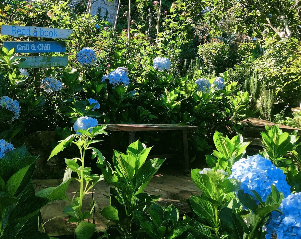 Mua 2.000m2 đất ở Đà Lạt, chàng trai dựng ngôi nhà đi đâu cũng chạm hoa - 2 Mua 2.000m2 đất ở Đà Lạt, chàng trai dựng ngôi nhà đi đâu cũng chạm hoa - 2