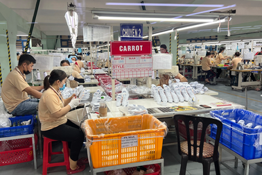 Nhiều doanh nghiệp ở Bình Định không có kế hoạch thưởng Tết