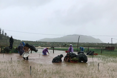 Nhiều cách làm thiết thực học và làm theo Bác ở Ban Chỉ huy Quân sự huyện Lý Sơn