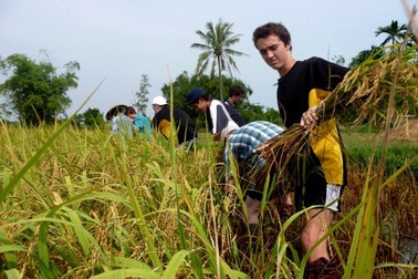 “Phát triển du lịch sinh thái bền vững gắn với nông nghiệp, nông thôn”