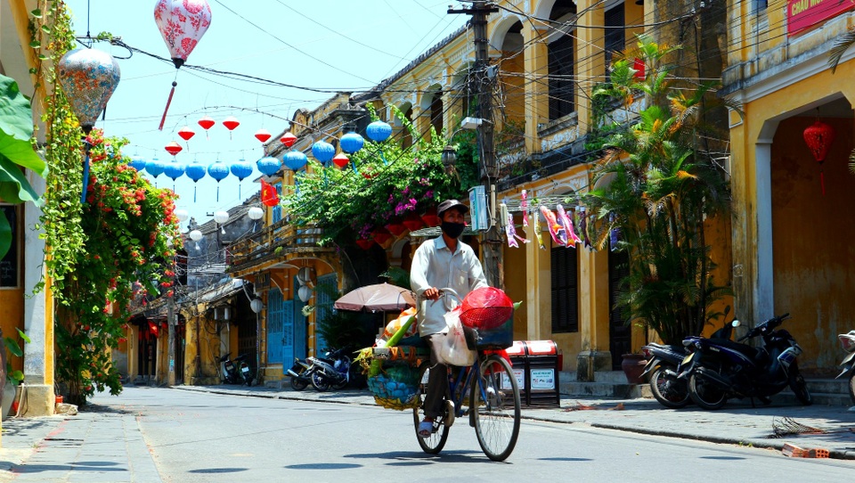 Hội An rực rỡ sắc hoa giữa tâm dịch Covid-19 - 6 Hội An rực rỡ sắc hoa giữa tâm dịch Covid-19 - 6
