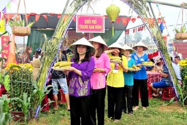 Lễ hội bắp nếp bị hủy phần hội do không… có bắp