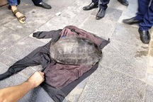 Người đàn ông câu trộm con rùa nặng hơn 10kg ở Hồ Gươm