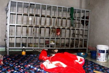 Vụ vợ nhốt chồng trong lồng sắt hơn 3 năm: Chính quyền không biết?