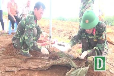 Cất bốc 11 hài cốt liệt sĩ