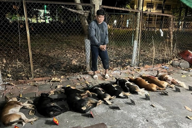 Bắt quả tang 3 đối tượng trộm và tiêu thụ 10 con chó ở Đồng Tháp