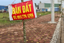 Phân khúc bất động sản nào tăng giá, giảm giá mạnh nhất năm nay?