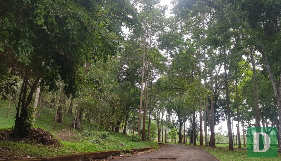 Đà Lạt miền Đông bị lãng quên - 2