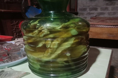 Uống rượu ngâm củ thương lục, 3 người phải đi cấp cứu