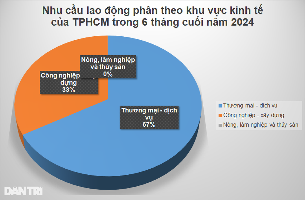 TPHCM cần hàng trăm nghìn lao động nhưng khó tuyển - 2