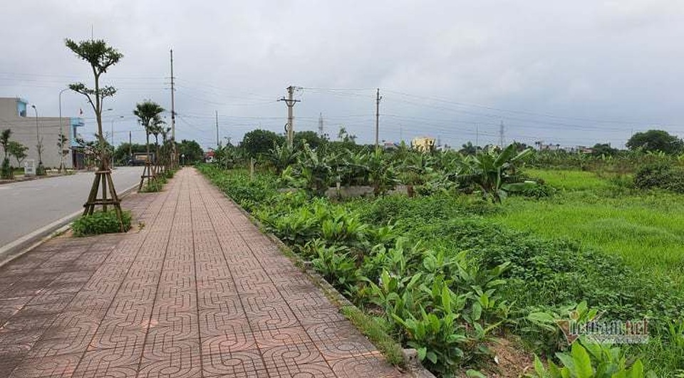 Từ vụ Nguyễn Xuân Đường, lộ lỗ hổng trong đấu giá đất ở Thái Bình - 2 Từ vụ Nguyễn Xuân Đường, lộ lỗ hổng trong đấu giá đất ở Thái Bình - 2