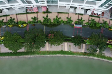 Du khách đi check-in đường hoa xuân Phú Mỹ Hưng