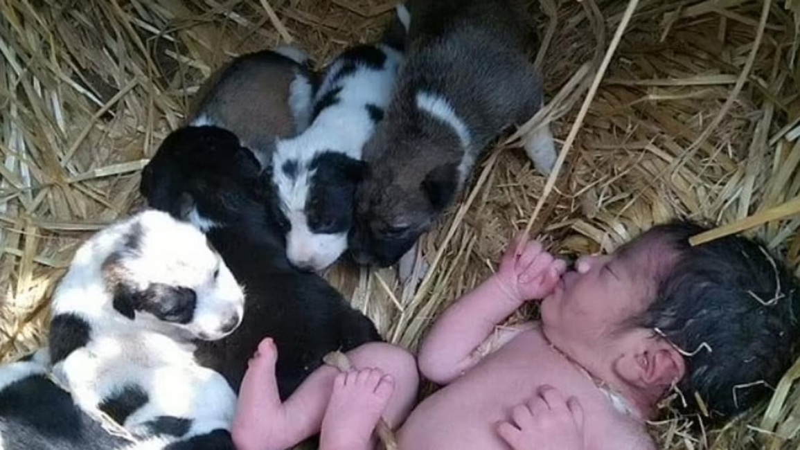 Cô gái trẻ sinh con rồi vứt vào trong thùng rác trên máy bay - 2 Cô gái trẻ sinh con rồi vứt vào trong thùng rác trên máy bay - 2