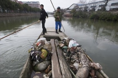 Số lợn chết trôi sông Hoàng Phố vượt 13.000 con