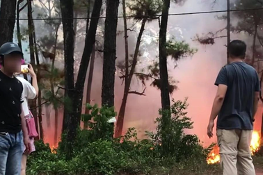 Tự nhận đốt rừng rồi thách "báo công an bắt đi"