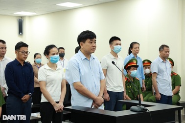 Vụ nâng khống giá cây xanh ở Hà Nội: Cận cảnh dẫn giải các bị cáo đến tòa