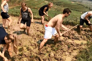 Để khách Tây cuốc đất, cho trâu đi bừa... hướng đi mới của ngành du lịch?