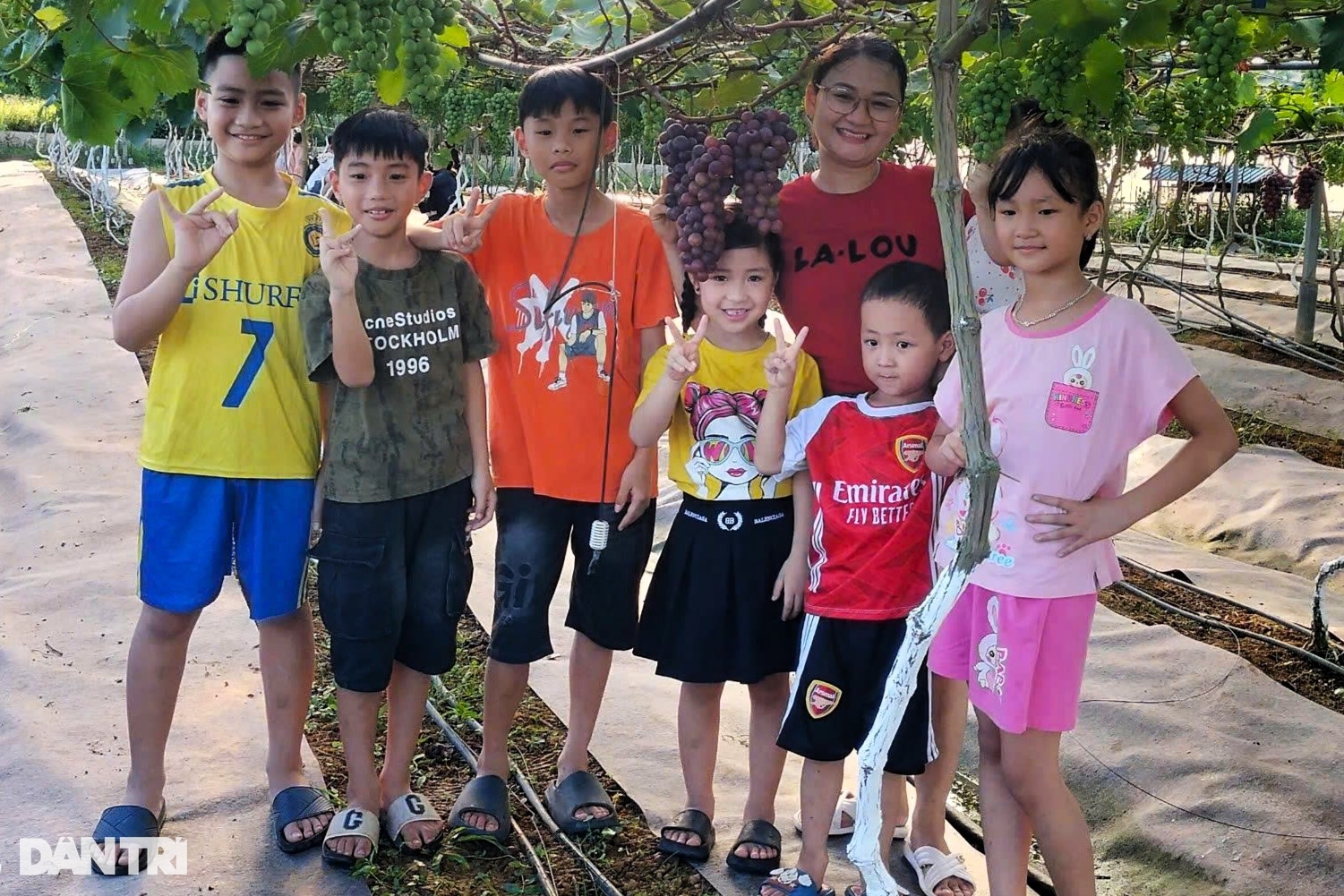 Chàng trai xứ Nghệ làm điều không tưởng trên vùng đất cằn cỗi - 5