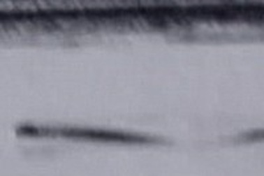 Xôn xao video quay được thủy quái tại Alaska