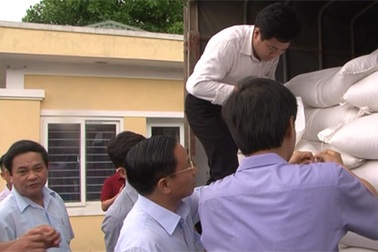 Vụ cá chết: Hà Tĩnh dốc sức thực hiện chỉ đạo của Thủ tướng Chính phủ