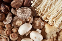 Bỏ túi bí kíp chọn một số loại nấm thông dụng