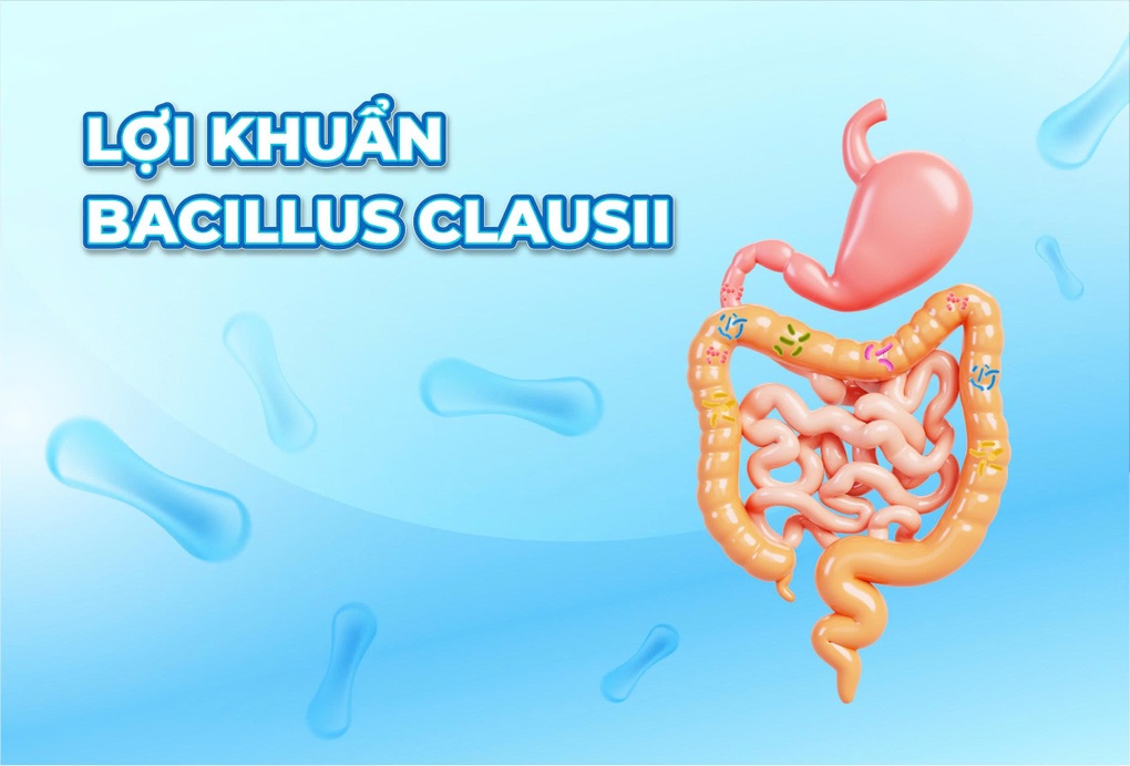 Giải pháp men vi sinh cho trẻ biếng ăn, tiêu chảy sau dùng kháng sinh kéo dài - 2 Giải pháp men vi sinh cho trẻ biếng ăn, tiêu chảy sau dùng kháng sinh kéo dài - 2
