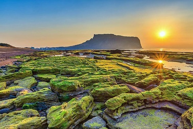 Những vụ việc du khách Việt đi tour rồi bỏ trốn ở nước ngoài gây nhức nhối dư luận