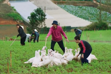 Rap Đen Vâu vào đề thi thử THPT của học trò lớp 12 Sài Gòn