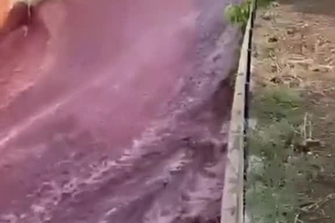 Hi hữu: 2 triệu lít rượu vang tràn xuống như lũ quét sạch đường phố