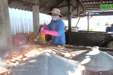 Cụ bà 70 nuôi cả nhà, cả họ nhờ nghề làm tôm khô truyền thống