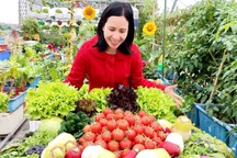 Mẹ đảm ở Hải Phòng kỳ công về quê chở đất, kéo từng bao lên phố trồng rau