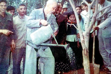 60 năm Tết trồng cây, nhớ Chủ tịch Hồ Chí Minh!