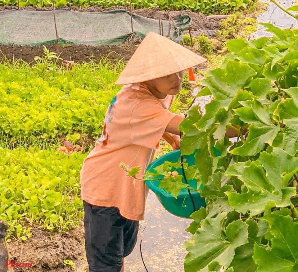 Nam sinh chăn bò, nhặt rau giúp mẹ đạt 9,75 điểm môn Văn - 1 Nam sinh chăn bò, nhặt rau giúp mẹ đạt 9,75 điểm môn Văn - 1