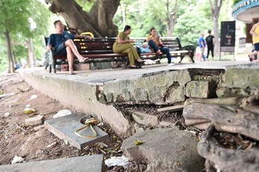 Bờ hồ Gươm nham nhở vì sạt lở kè